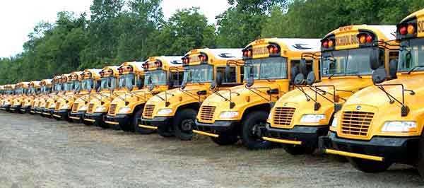 School Bus Cross View Mirrors